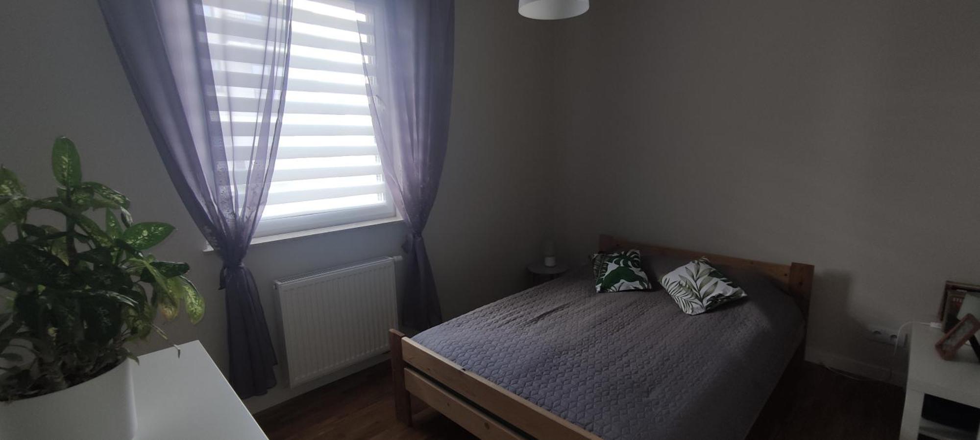 Apartament Zielone Zamienie Dış mekan fotoğraf